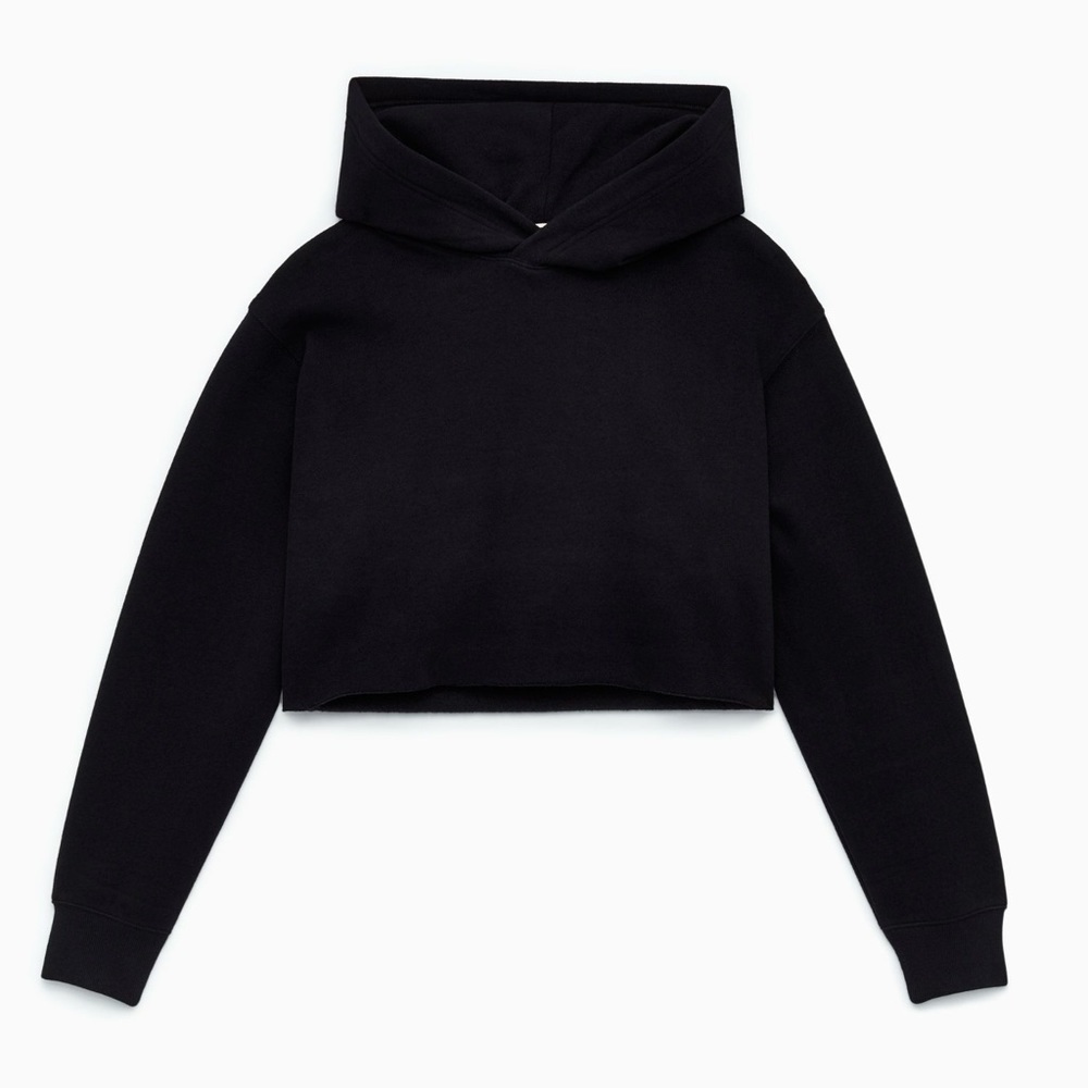 Aritzia TNA Cozy Fleece Boyfriend Cropped Hooded Sweatshirt